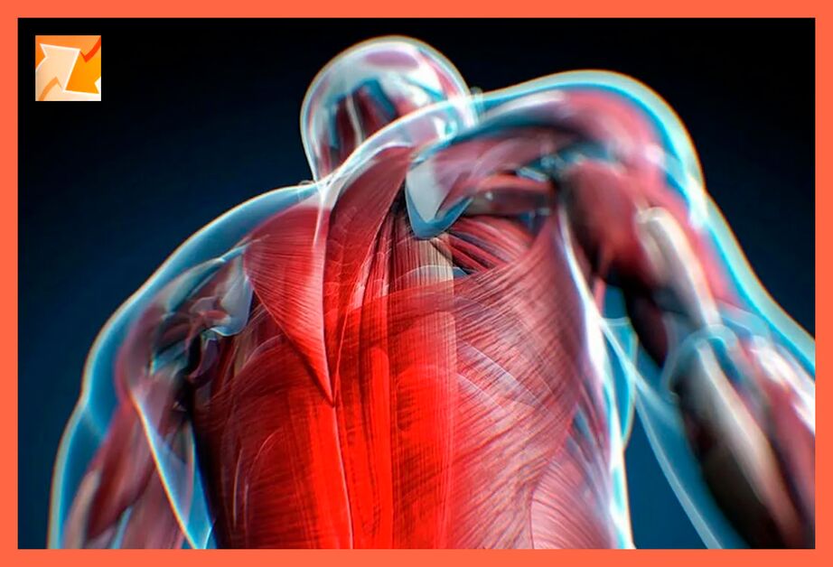 Vlastnosti nepohodlia